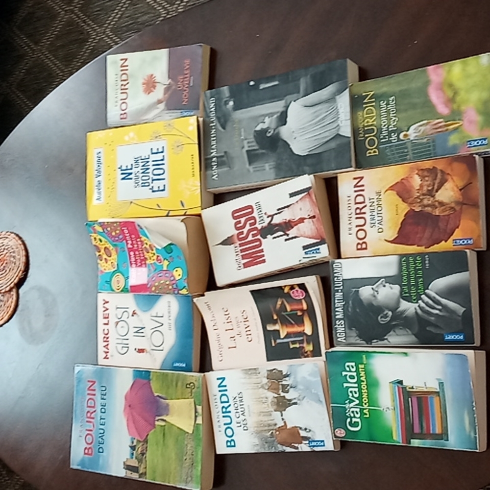 Lot of 13 French books Musso Levy Gavalda Martin Lugand Bourdain Valognes Pancol